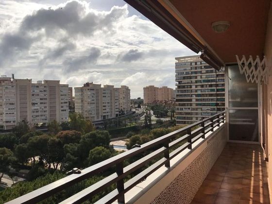 Foto 2 de Venta de piso en avenida De Cataluña de 3 habitaciones con terraza y piscina