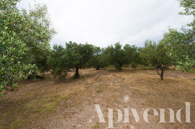 Foto 1 de Venta de terreno en Els Grecs - Mas Oliva de 23566 m²