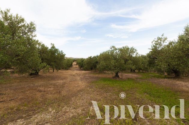 Foto 2 de Venta de terreno en Els Grecs - Mas Oliva de 23566 m²