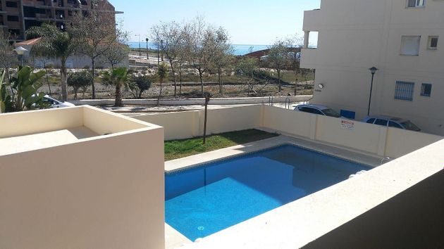 Foto 1 de Pis en lloguer a El Morche de 1 habitació amb terrassa i piscina