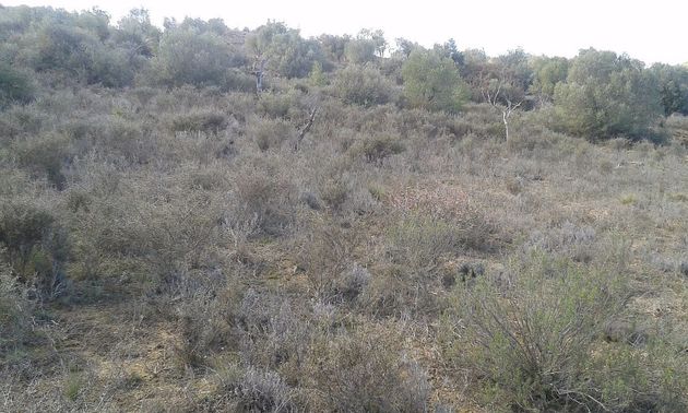Foto 1 de Venta de terreno en Sarroca de Lleida de 17000 m²