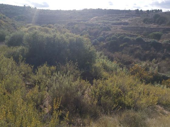 Foto 2 de Venta de terreno en Albagés de 8600 m²