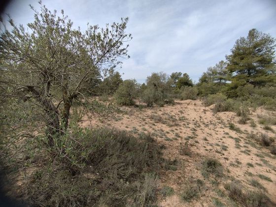Foto 2 de Venta de terreno en Albagés de 17000 m²