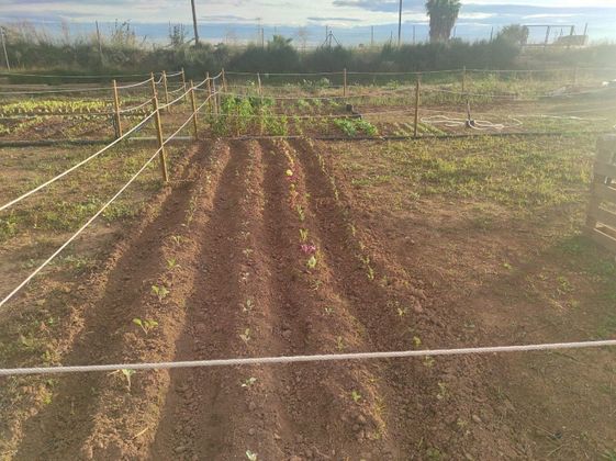 Foto 2 de Alquiler de terreno en Alaquàs de 50 m²