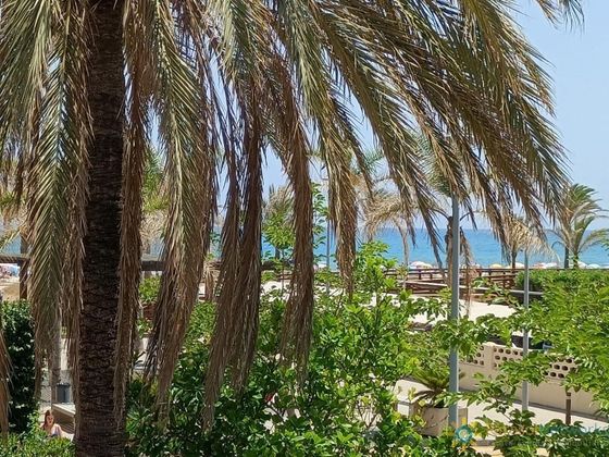 Foto 2 de Chalet en venta en Playa de Gandia de 3 habitaciones con terraza y jardín