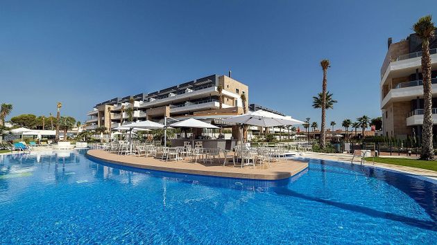Foto 1 de Àtic en venda a Playa Flamenca - Punta Prima de 2 habitacions amb terrassa i piscina