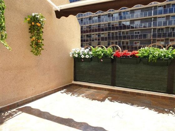Foto 1 de Pis en venda a Zona Pueblo de 1 habitació amb terrassa i jardí