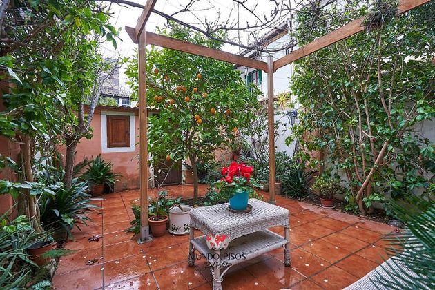 Foto 1 de Pis en venda a Marquès de la Fontsanta - Pere Garau de 3 habitacions amb terrassa i jardí