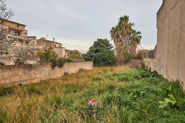 Foto 1 de Venta de terreno en Vilafranca de Bonany de 368 m²