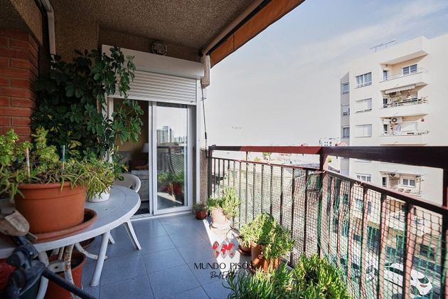 Foto 1 de Pis en venda a Camp Redó de 4 habitacions amb garatge i balcó