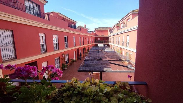 Foto 1 de Venta de piso en Castilleja de la Cuesta de 2 habitaciones con terraza y garaje