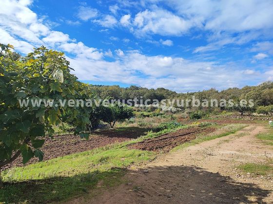 Foto 1 de Venta de terreno en Villanueva de la Vera de 4963 m²
