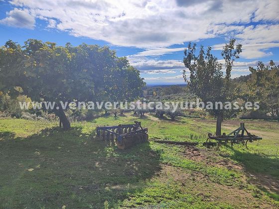 Foto 2 de Venta de terreno en Villanueva de la Vera de 4963 m²
