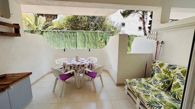 Foto 2 de Venta de piso en avenida De Les Fonts de 1 habitación con terraza y piscina