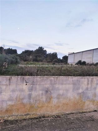 Foto 1 de Venta de terreno en Santa Margalida de 2244 m²