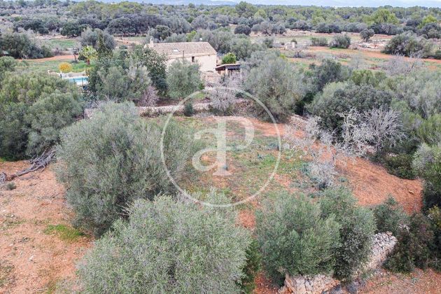 Foto 1 de Venta de terreno en Algaida de 16775 m²