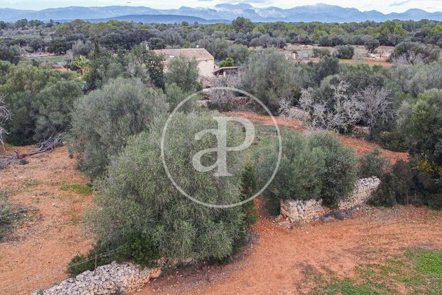 Foto 2 de Venta de terreno en Algaida de 16775 m²