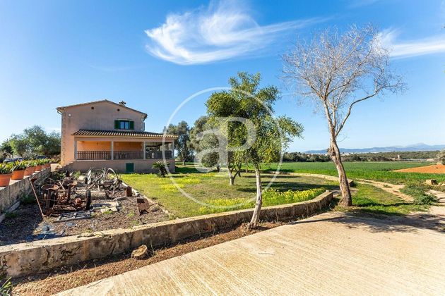 Foto 2 de Casa en venta en Sant Jordi - Son Ferriol de 5 habitaciones con terraza y piscina