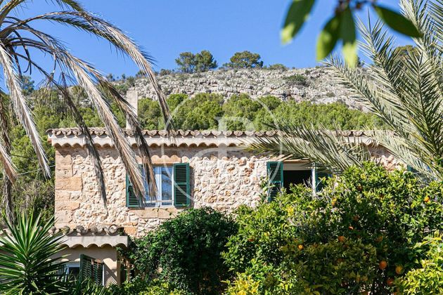 Foto 1 de Pis en lloguer a Calvià de 2 habitacions amb terrassa i jardí