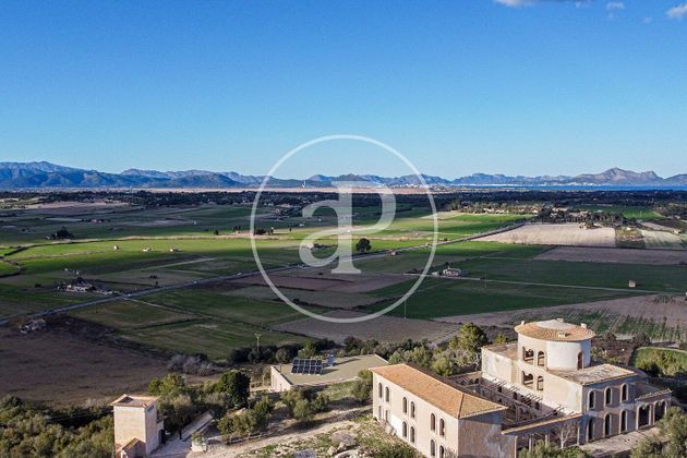 Foto 1 de Venta de terreno en Santa Margalida de 16042 m²