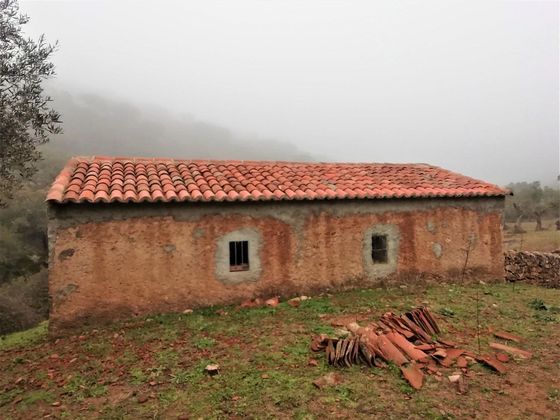 Foto 1 de Casa rural en venta en Almadén de la Plata de 2 habitaciones con terraza