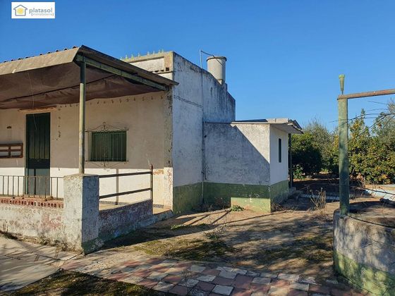 Foto 2 de Venta de casa rural en Aznalcázar de 3 habitaciones con terraza y piscina