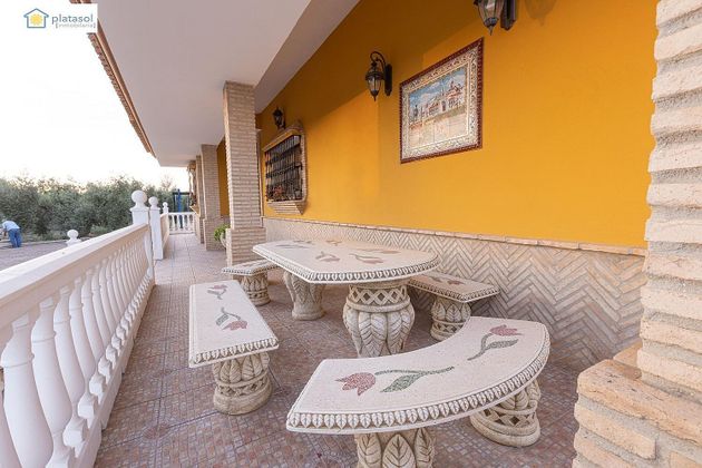 Foto 2 de Casa rural en venda a Chucena de 3 habitacions amb terrassa i piscina