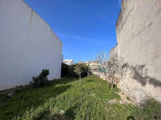 Foto 2 de Venta de terreno en calle Del Avd Miguel Bisellach de 351 m²