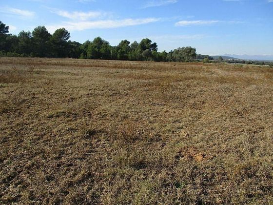 Foto 1 de Venta de terreno en Viladamat de 18000 m²
