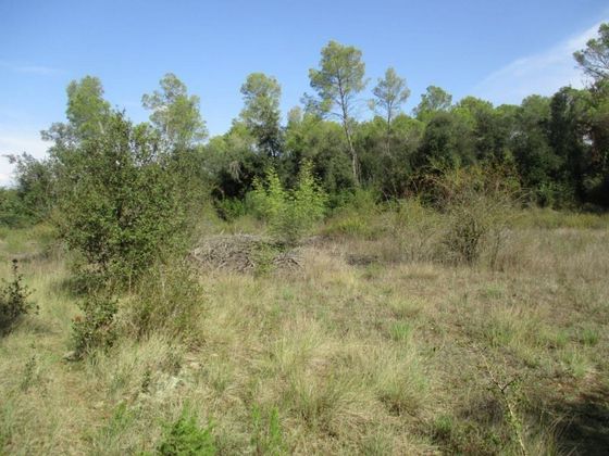 Foto 1 de Venta de terreno en Garrigàs de 10800 m²