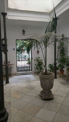 Foto 2 de Venta de chalet en Centro - Jerez de la Frontera de 12 habitaciones con jardín y balcón