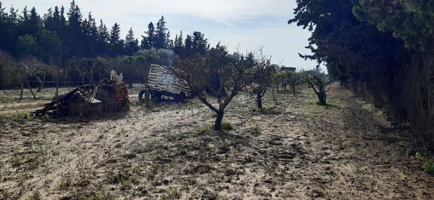 Foto 1 de Venta de terreno en Ctra de La Playa - La Coquina de 3600 m²