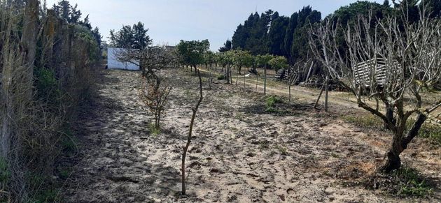 Foto 2 de Venta de terreno en Ctra de La Playa - La Coquina de 3600 m²