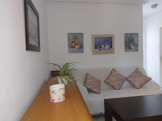 Foto 2 de Piso en alquiler en Sancti Petri - La Barrosa de 1 habitación con terraza y jardín