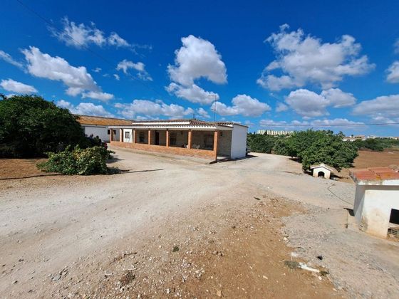 Foto 2 de Casa rural en venda a Este-Delicias de 5 habitacions amb terrassa