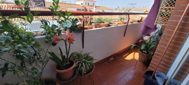 Foto 1 de Venta de piso en Pozoblanco de 3 habitaciones con balcón y aire acondicionado