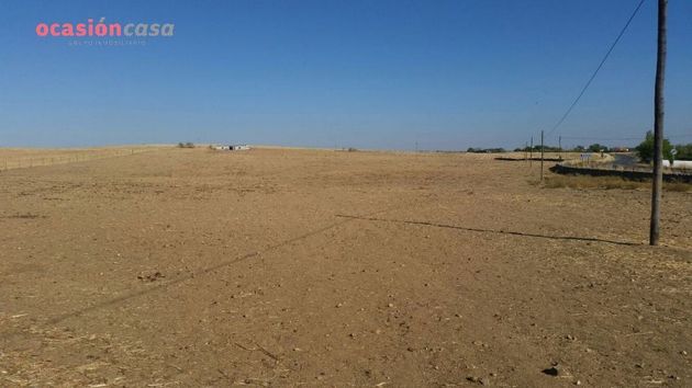Foto 2 de Venta de terreno en Pozoblanco de 25000 m²
