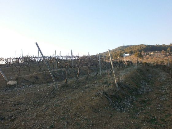 Foto 2 de Venta de terreno en Botarell de 22000 m²
