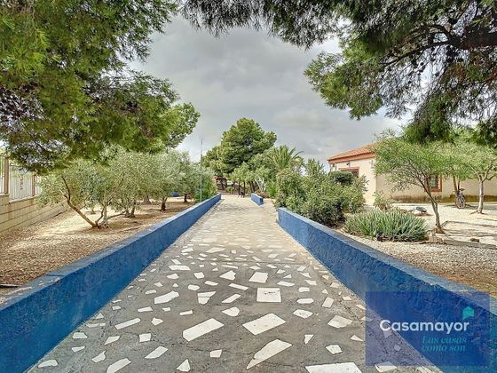 Foto 1 de Xalet en venda a calle Lubina de 3 habitacions amb terrassa i piscina