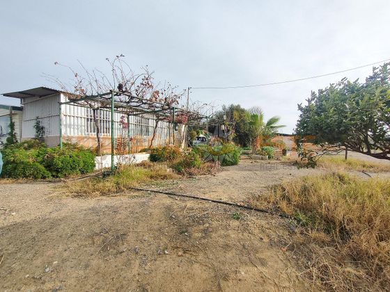 Foto 2 de Venta de terreno en El Tomillar de 5000 m²