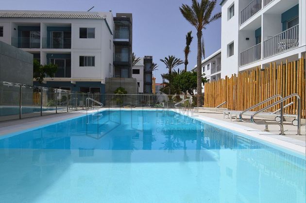 Foto 2 de Pis en venda a Corralejo de 1 habitació amb piscina i jardí
