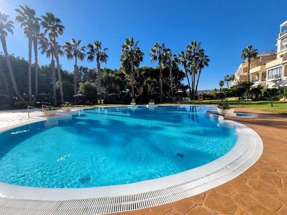 Foto 2 de Venta de piso en Alicante Golf de 1 habitación con terraza y piscina