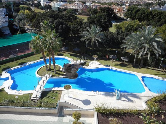 Foto 1 de Venta de piso en Alicante Golf de 3 habitaciones con terraza y piscina