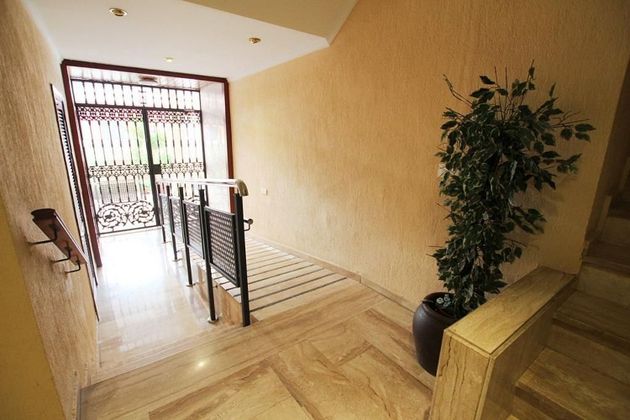 Foto 1 de Pis en venda a Centro - Jerez de la Frontera de 4 habitacions amb terrassa i garatge