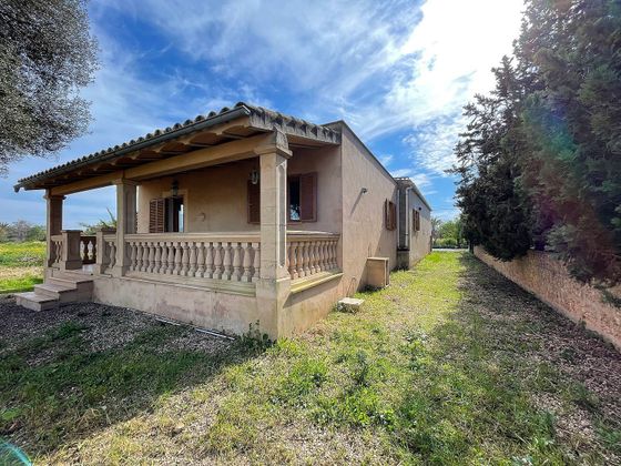 Foto 2 de Casa rural en venda a Campos de 3 habitacions amb terrassa i aire acondicionat
