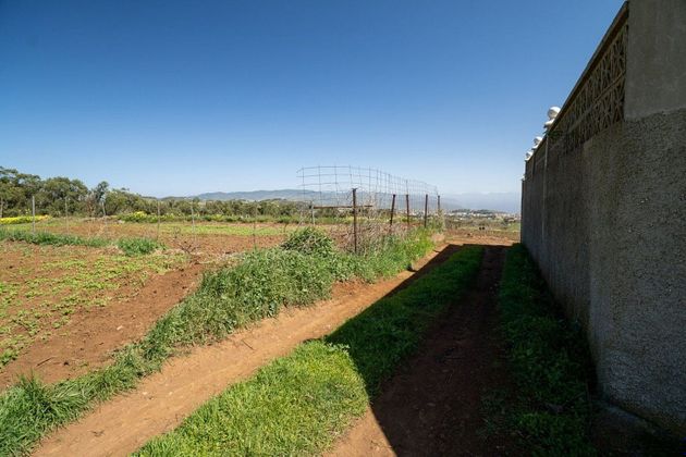Foto 2 de Venta de terreno en carretera La Esperanza a Llano Moro de 1231 m²