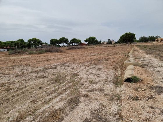 Foto 2 de Venta de terreno en Valverde de 14500 m²