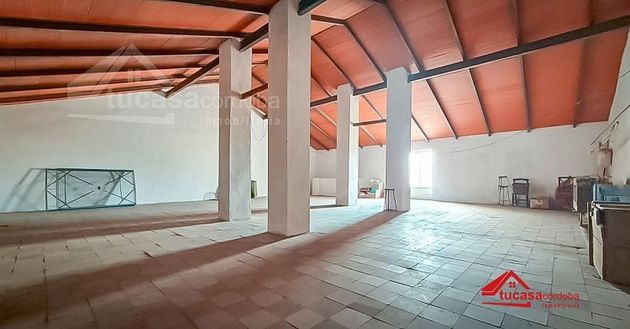 Foto 1 de Casa en venda a Peñarroya-Pueblonuevo de 8 habitacions amb terrassa i jardí