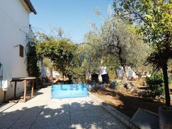 Foto 1 de Venta de chalet en Fuente Obejuna de 4 habitaciones con piscina y garaje