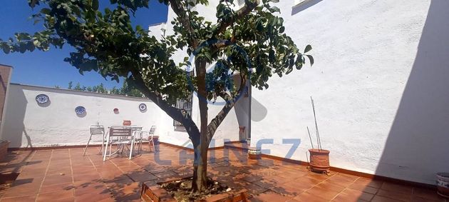 Foto 1 de Venta de chalet en Peñarroya-Pueblonuevo de 4 habitaciones con jardín